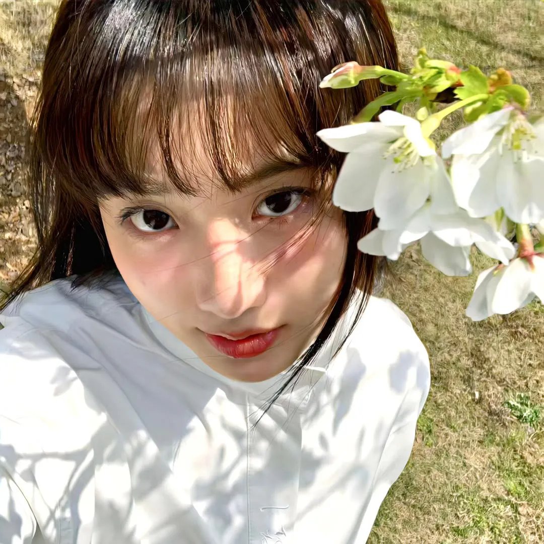 妖狐苏妲己